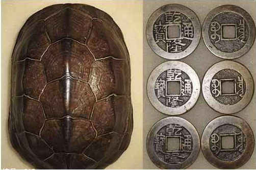 不同脸型的人一生命运如何?