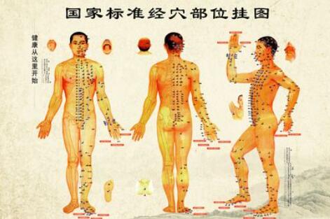 国家标准经穴部位动画挂图（请收藏