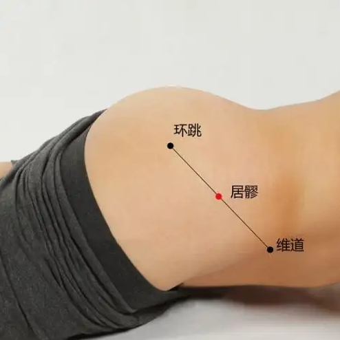 环跳穴