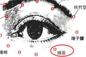 球后穴