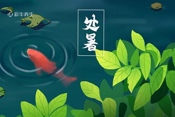 处暑的意思是什么 处暑气候的特点