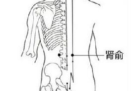 肾俞穴