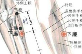 下廉穴