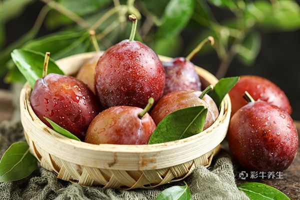 西梅孕妇可以吃吗 孕妇吃西梅的好处