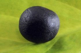 干姜人参半夏丸