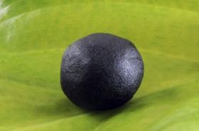 大补阴丸（补益剂）