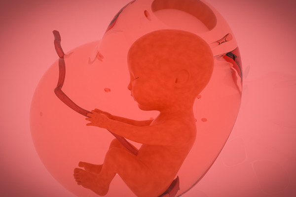 紫河车是什么 紫河车的作用