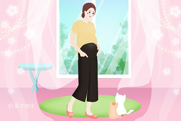 怀孕初期应该注意的事项 孕早期的注意事项