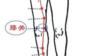 膝关穴