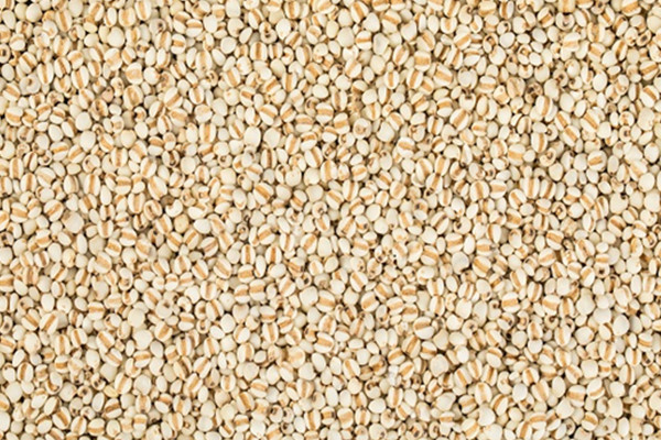 薏仁粉的功效与作用 薏仁粉的作用