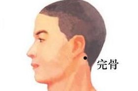 完骨穴