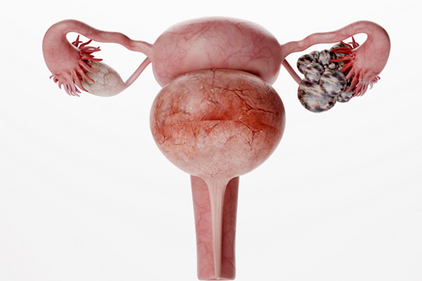 每个月都会排卵吗 排卵期症状