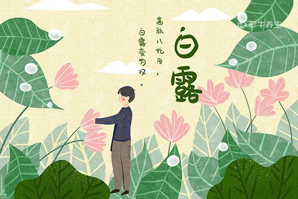 白露节气的含义是什么 白露节气吃什么传统食物