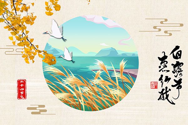 白露吃什么 白露节气吃什么食物养生