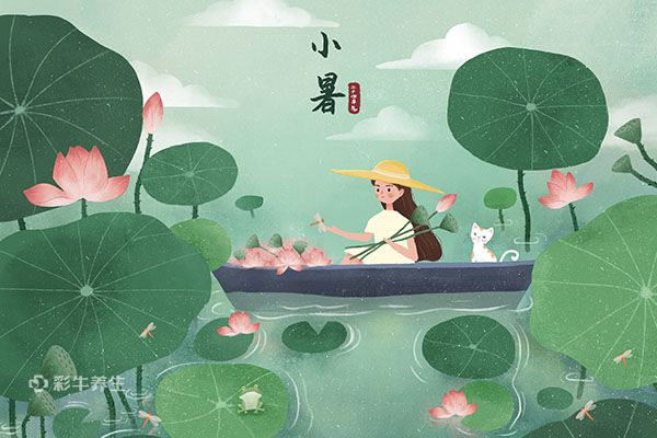 小暑是入伏第一天么 小暑如何养生