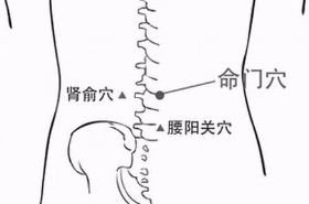 命门穴