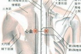 心俞穴