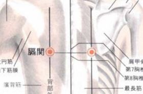 膈关穴