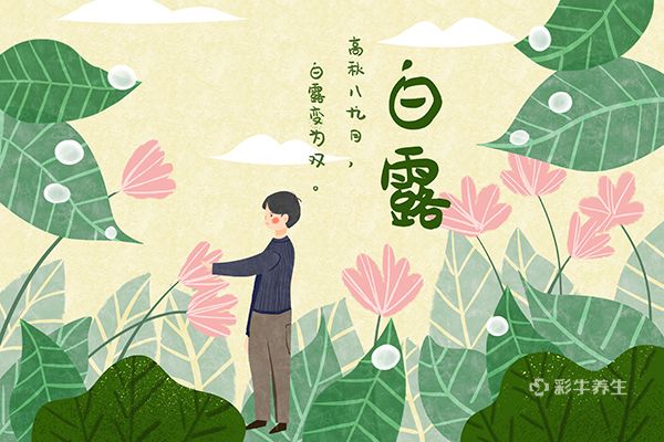 白露吃什么 白露节气吃什么食物养生