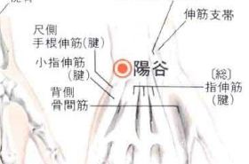 阳谷穴