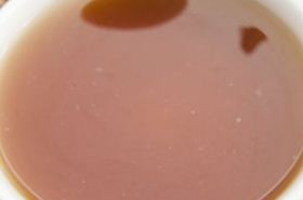 增液承气汤（泻下剂）