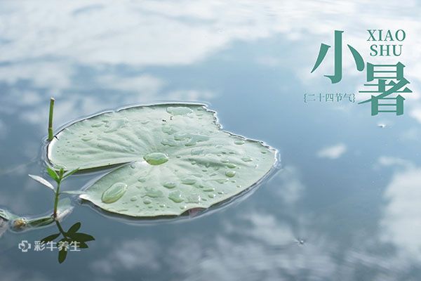 小暑是入伏第一天么 小暑如何养生