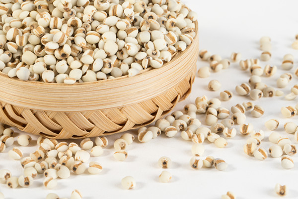 薏仁粉的功效与作用 薏仁粉的作用