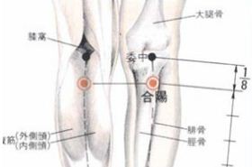 合阳穴