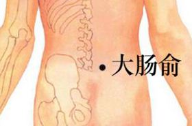 大肠俞穴