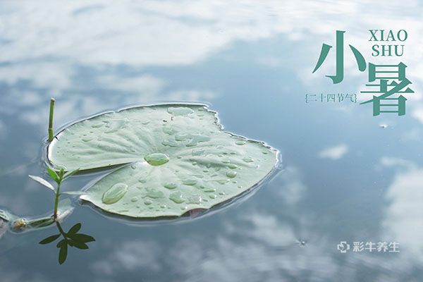 小暑是几月几日 小暑吃什么食物养生