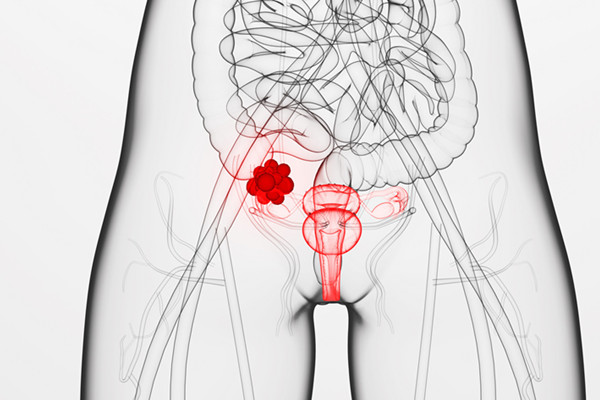 每个月都会排卵吗 排卵期症状