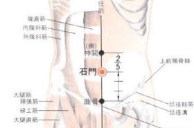 石门穴
