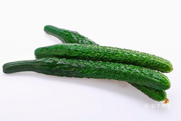 立秋是什么意思 立秋节气吃什么食物