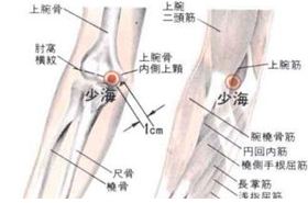 少海穴