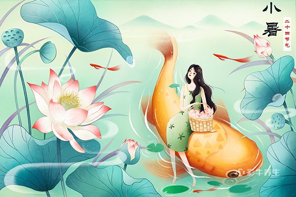 小暑是几月几日 小暑吃什么食物养生