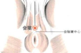 会阴穴