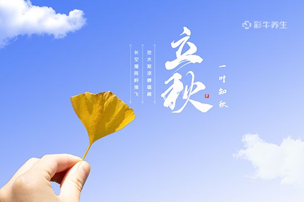 立秋节气的含义是什么 立秋如何养生