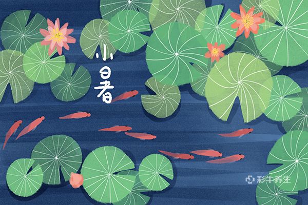 小暑是入伏第一天么 小暑如何养生