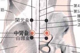 中膂俞穴