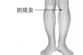 阳陵泉穴