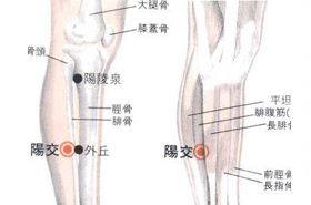 阳交穴
