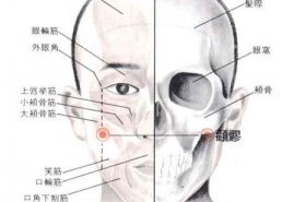 颧髎穴