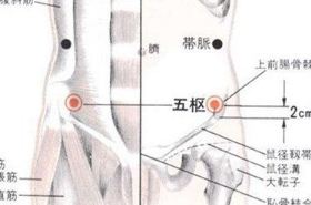 五枢穴