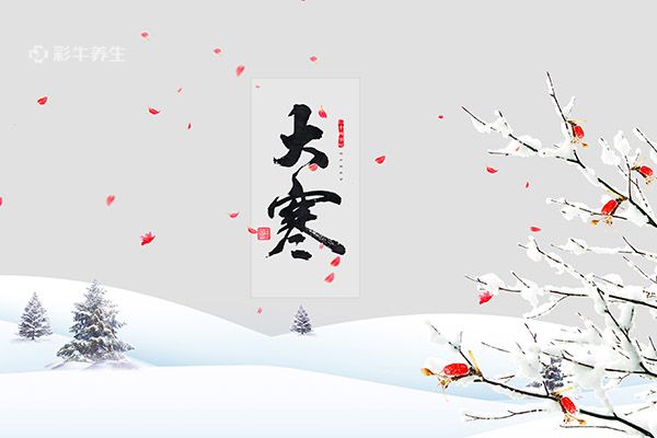 大寒节气吃什么蔬菜 大寒适宜吃的蔬菜