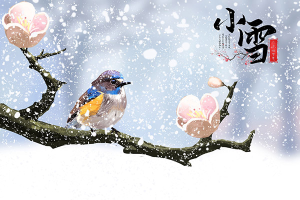 小雪节气的天气特点 小雪节气的由来