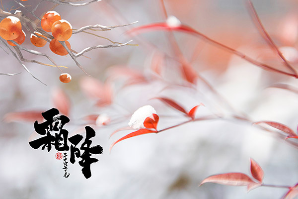 霜降是什么意思啊 霜降的习俗