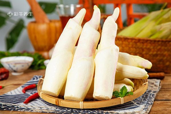 哺乳期妈妈吃什么东西可以下奶