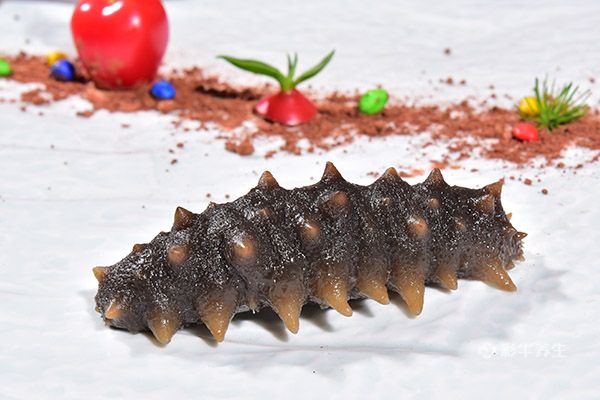 女人长期吃海参的好处 女人长期吃海参有哪些功效