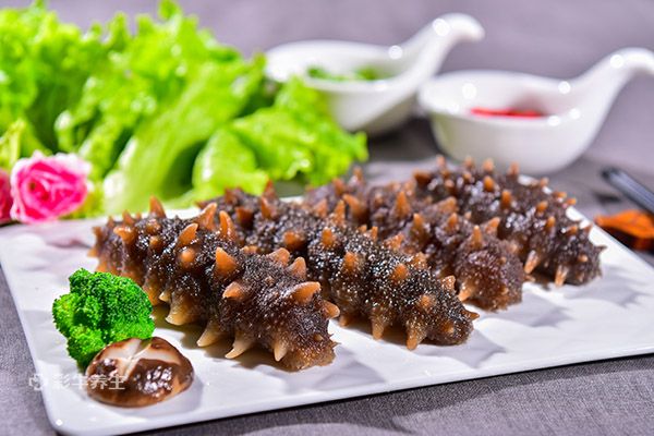 女人长期吃海参的好处 女人长期吃海参有哪些功效