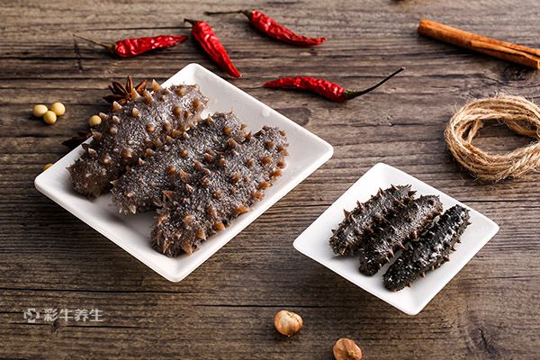 女人长期吃海参的好处 女人长期吃海参有哪些功效